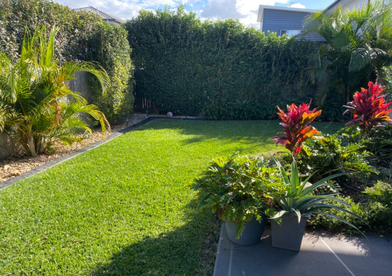 Brisbane Lawn & Landscaping Experts | Gallery