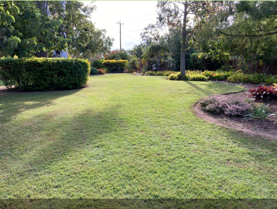 Brisbane Lawn & Landscaping Experts Lawn Renovations