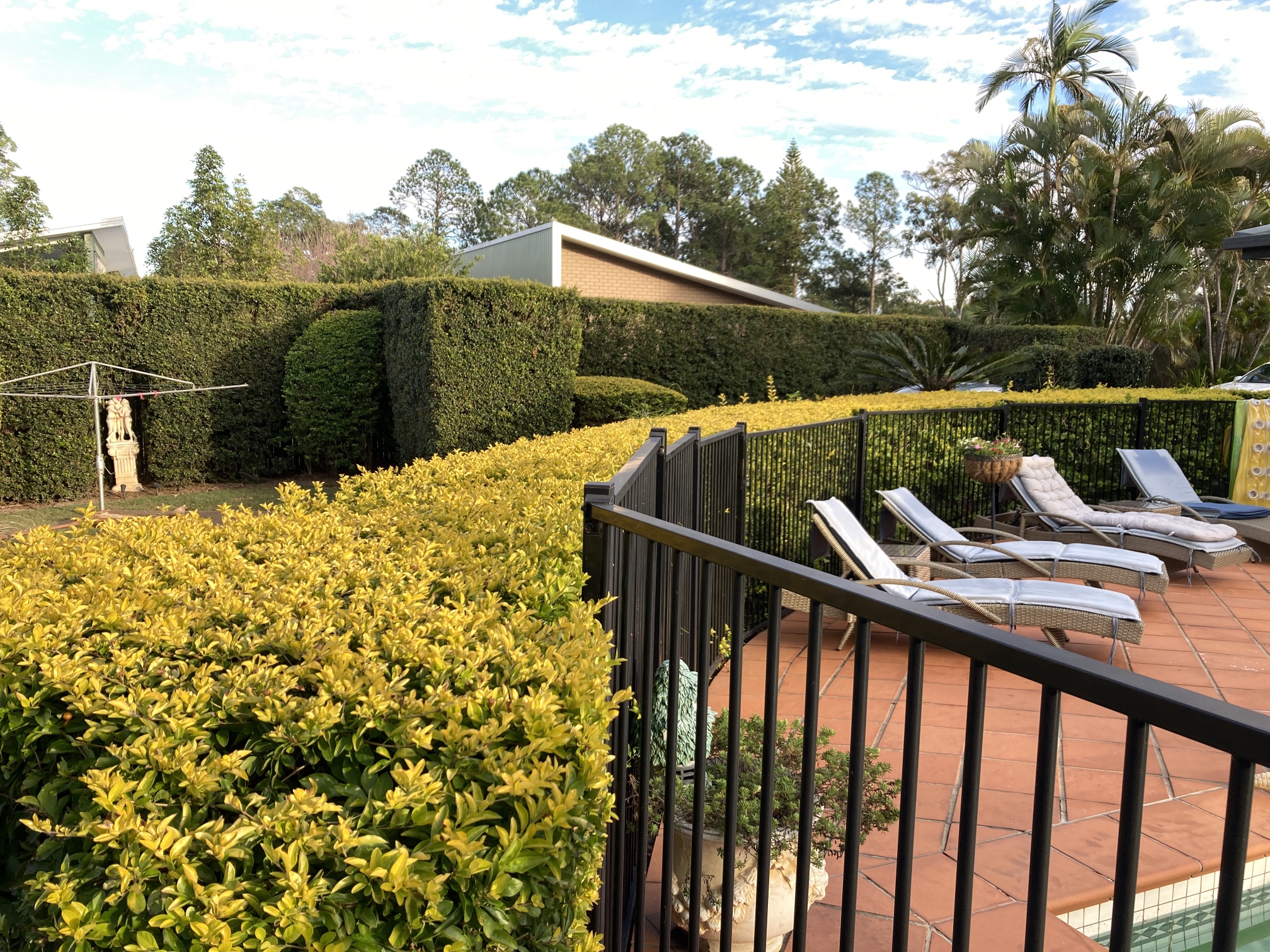 Brisbane Lawn & Landscaping Experts Gallery